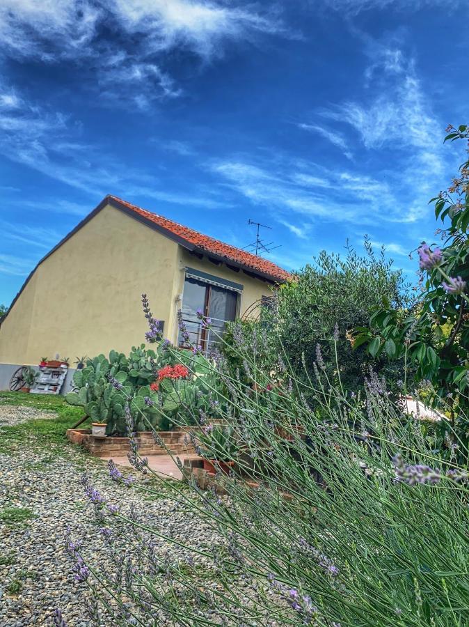 Ca' Degli Ovi B&B Valenza Exterior foto