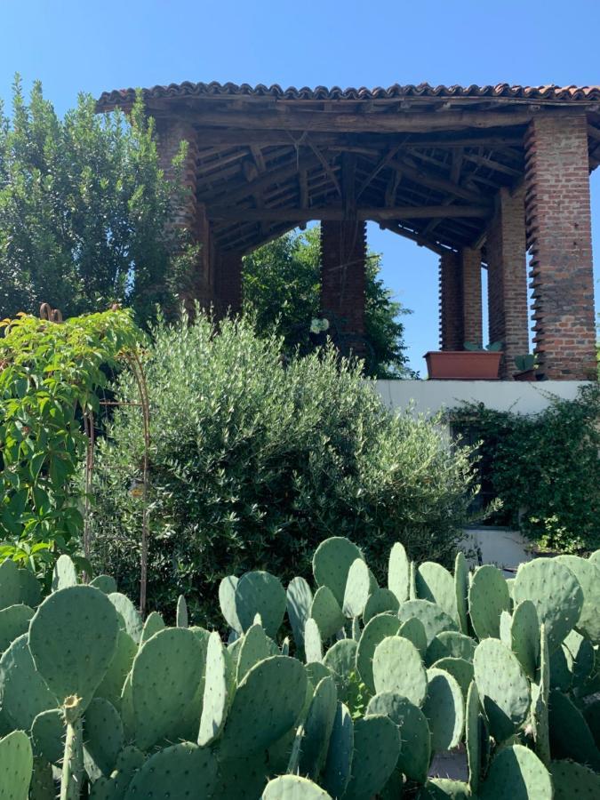 Ca' Degli Ovi B&B Valenza Exterior foto