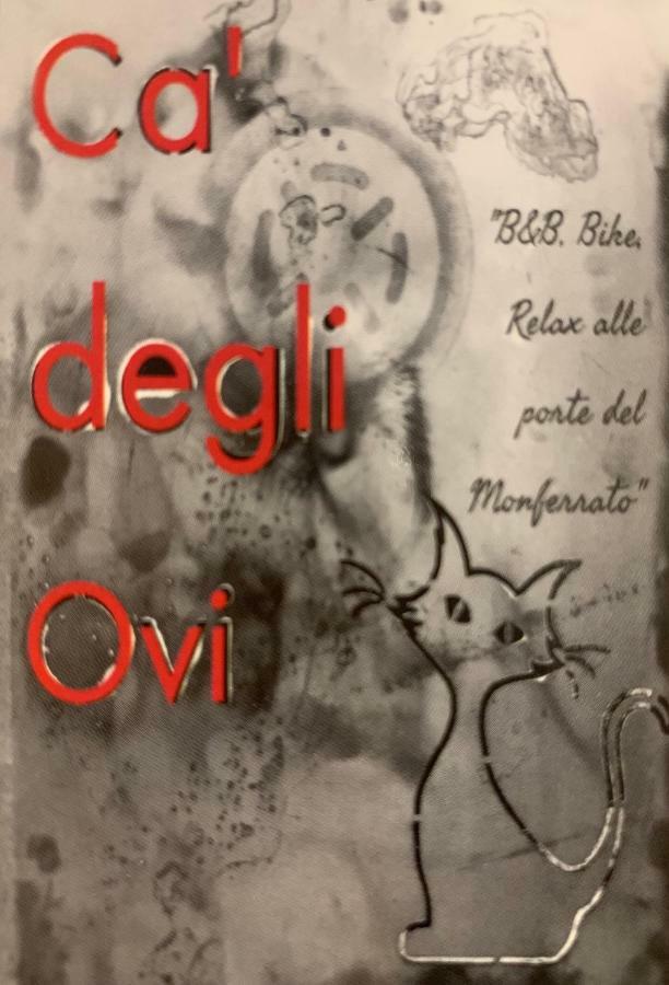 Ca' Degli Ovi B&B Valenza Exterior foto