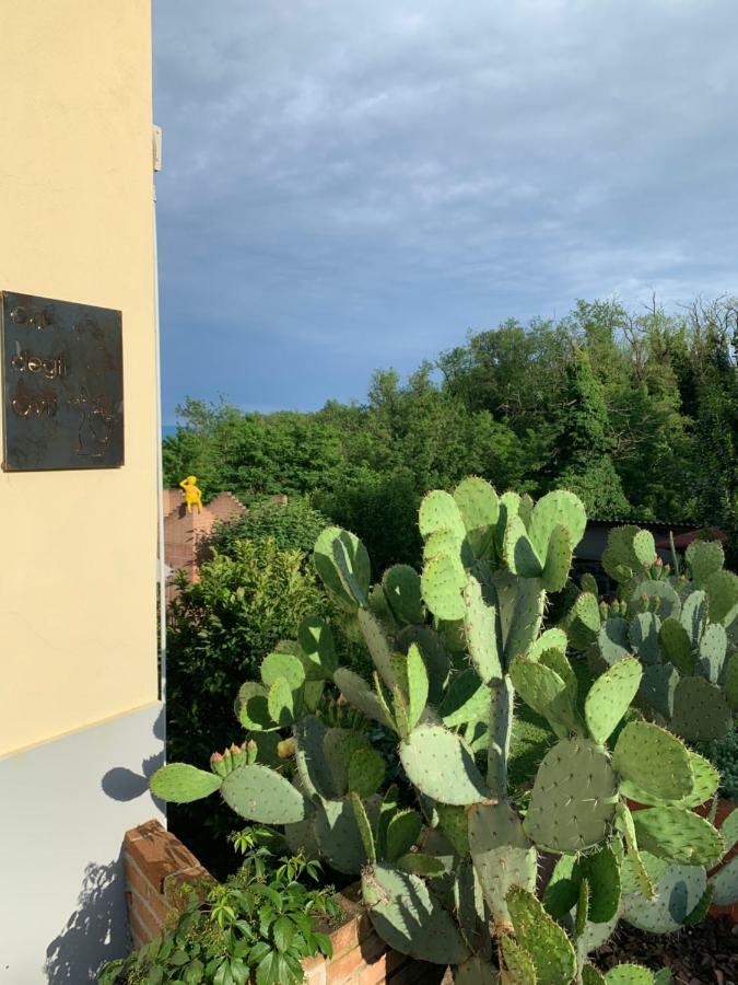 Ca' Degli Ovi B&B Valenza Exterior foto